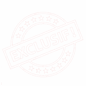exclusif aic formation